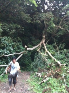 iphone/image-20100823002201.png